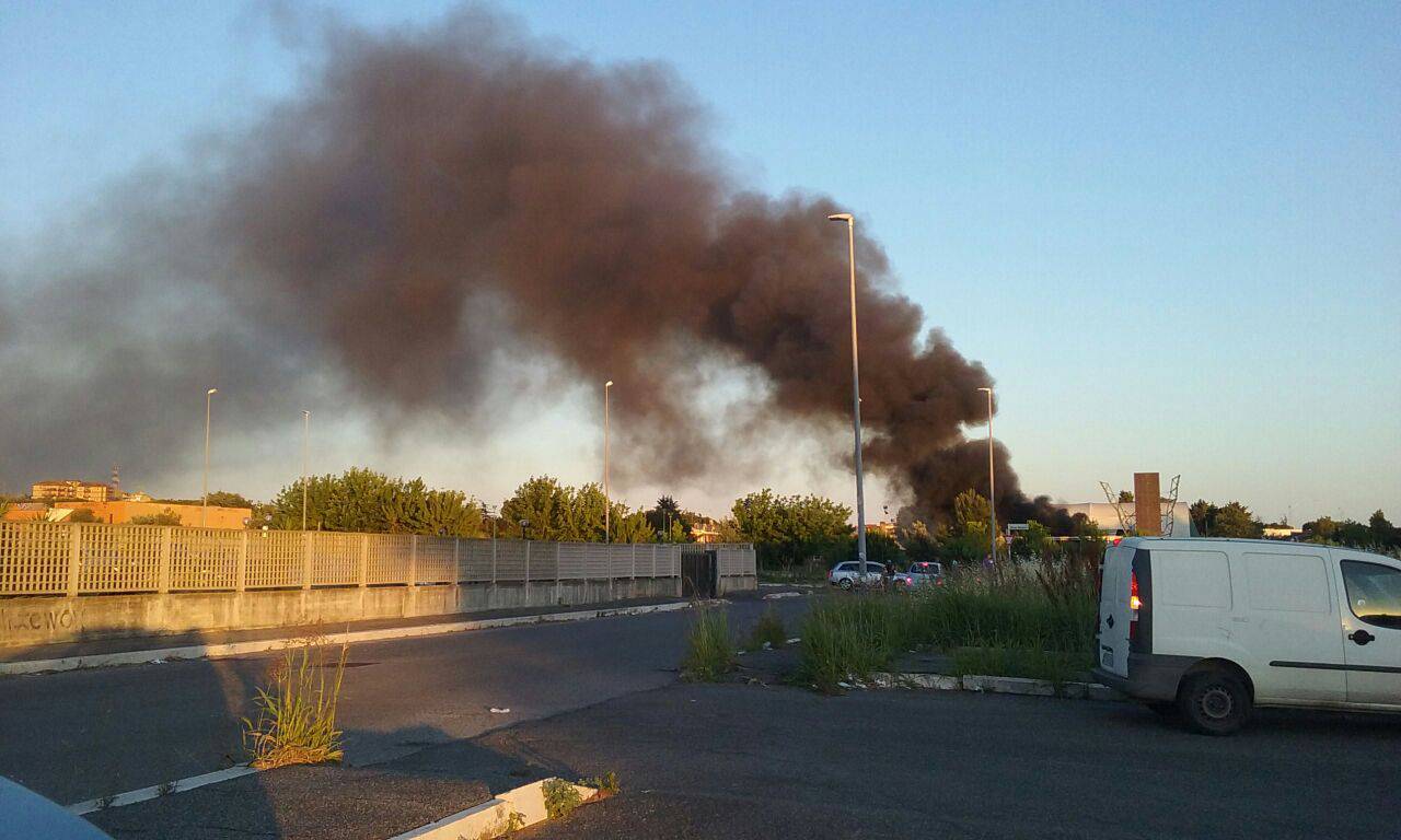 #Acilia, incendio doloso al Parco della Madonnetta, Sinistra Italiana ‘Dopo le promesse elettorali, questa è la situazione’