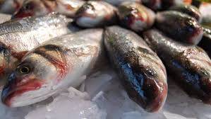 prodotti ittici, sequestro