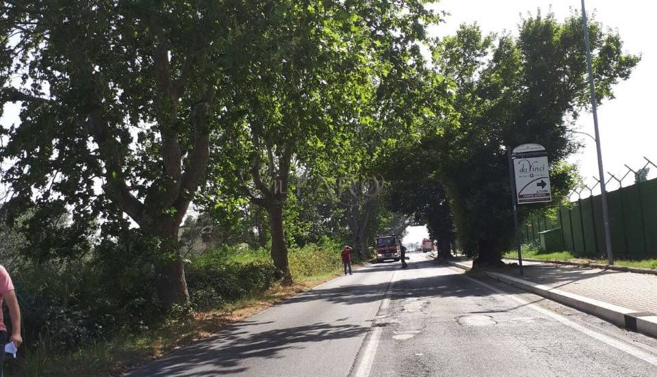 #Fiumicino, albero pericolante, i Vigili del Fuoco intervengono in via Portuense
