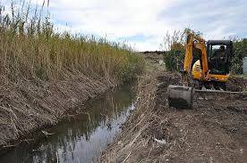 #Ostia, Masi ‘Canali ostruiti dai rifiuti, occorre lavorare fin da ora per prevenire disastri’