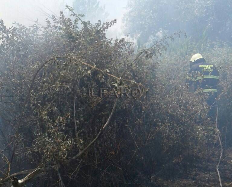 Vasto incendio a #Maccarese, le fiamme minacciano le abitazioni