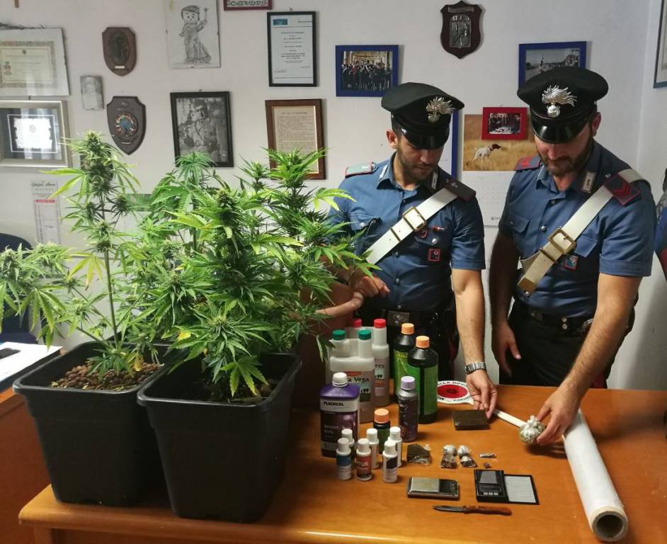 Acilia: cocaina, hashish e una mini serra di marijuana nascosta in casa: fermati due fratelli