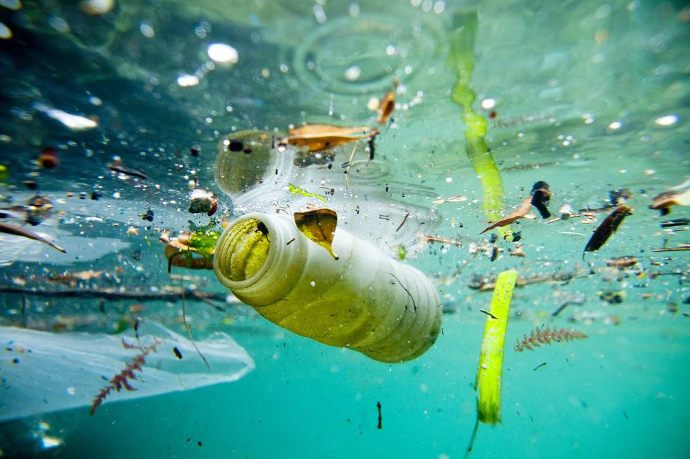 Plastica a mare a Fiumicino: un passo avanti