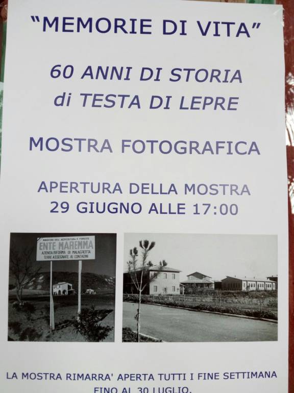 mostra testa di lepre