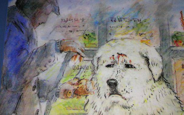 La storia di #Orzo, cane fedele oltre ogni limite’, un romanzo per #bambini, divertente e pieno di valori