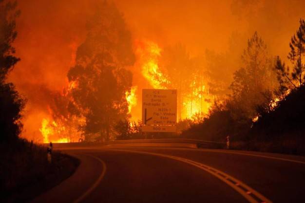 Portogallo, in fiamme i boschi di Pedrogao Grande, almeno 62 morti