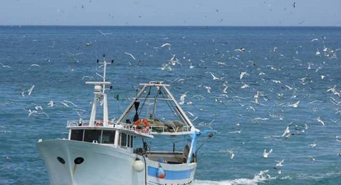 Fermo biologico: a Gaeta, Formia e Ponza 28 pescherecci tirati in secco