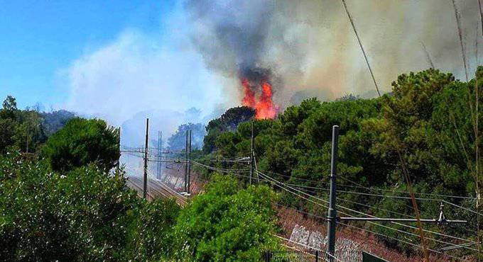 Incendio Castel Fusano, CasaPound #Ostia ‘chiusura notturna della pineta’