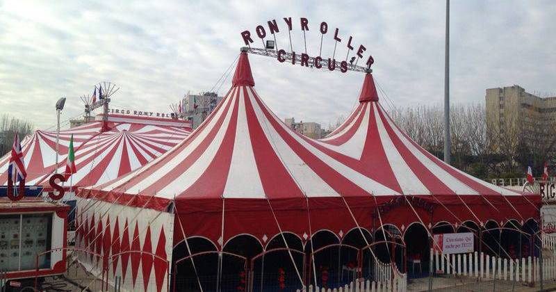 Circo a Fiumicino, il Tar “bacchetta” il Comune: “Non può vietare gli spettacoli con gli animali”