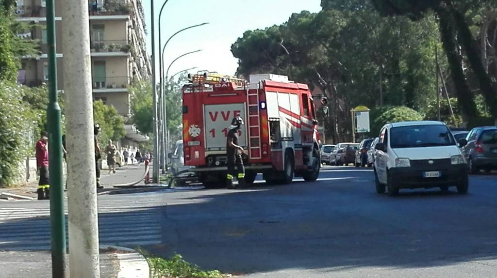 #Ostia sotto attacco, bruciano Castel Fusano, Acque Rosse e Pianabella