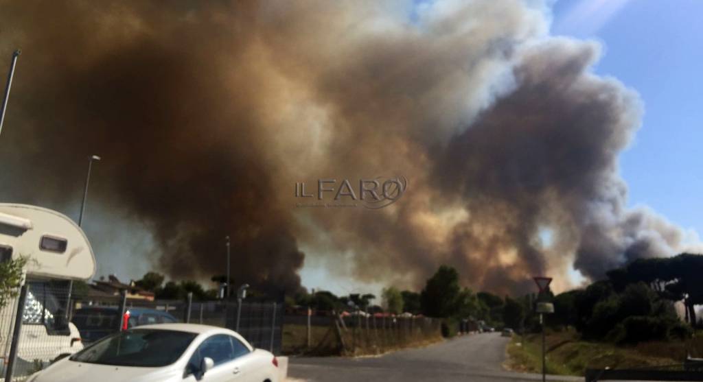 #Ostia, i carabinieri arrestano un uomo per l’incendio della pineta