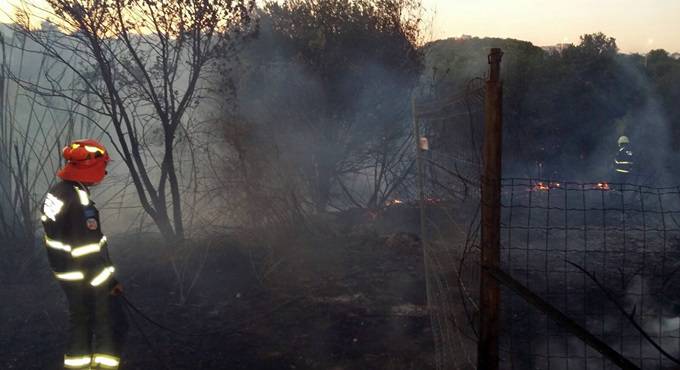 incendio roghi fregene