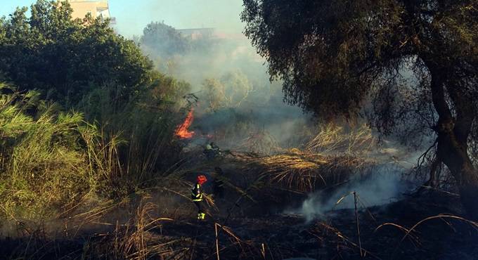 Il fuoco ‘piega’ #Fiumicino, roghi da Parco Leonardo a Torrimpietra