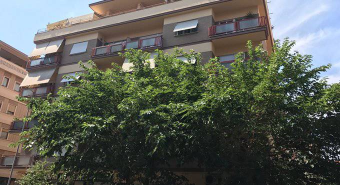 #Roma Diaco, ‘Iniziato il monitoraggio delle alberature per verificarne lo stato di salute’