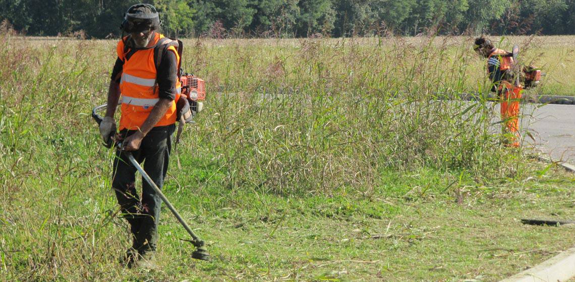 Coronavirus, a Ladispoli riprende lo sfalcio delle aree verdi