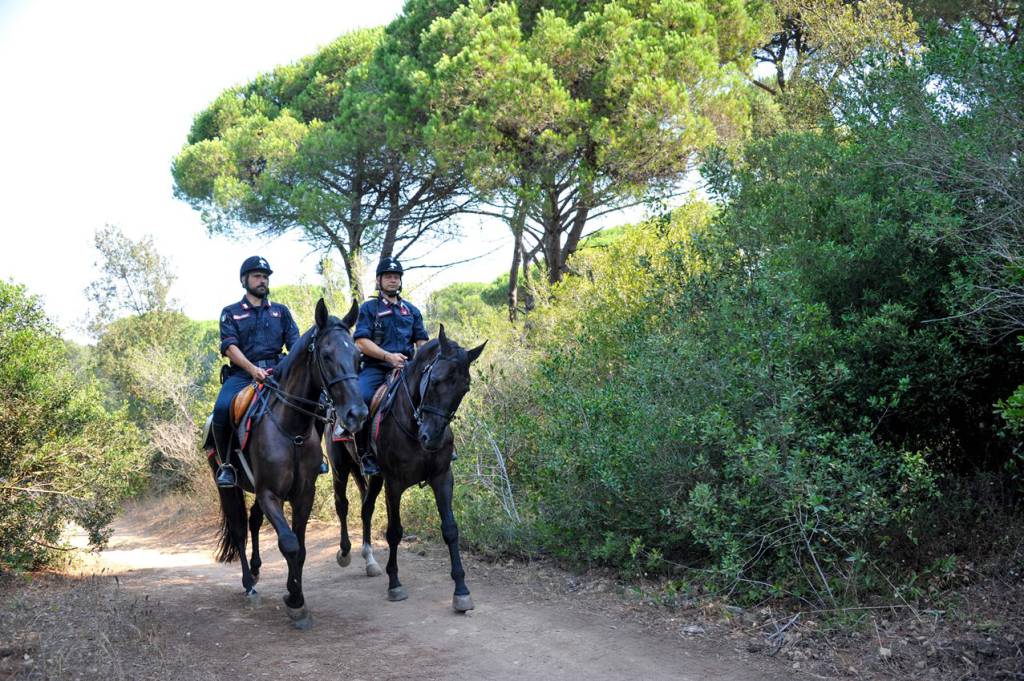 #Fregene, #Ostia e #Fiumicino, contro i piromani arrivano i carabinieri a cavallo