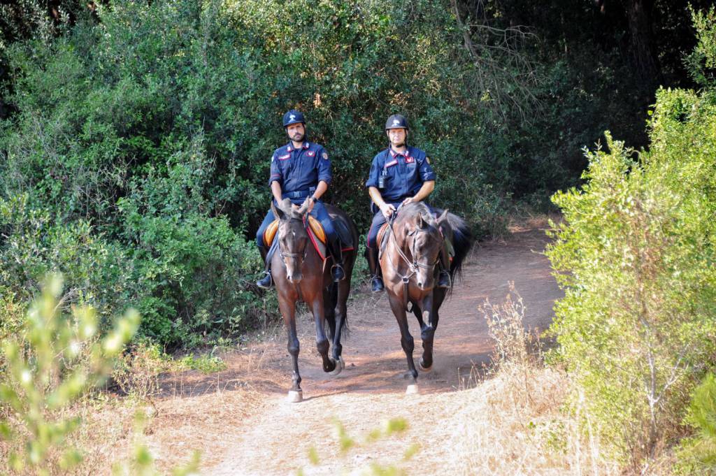 #Fregene, #Ostia e #Fiumicino, contro i piromani arrivano i carabinieri a cavallo