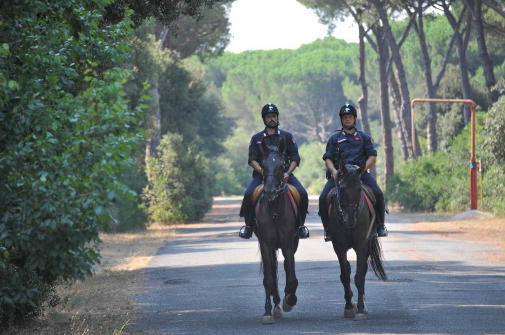#Fregene, #Ostia e #Fiumicino, contro i piromani arrivano i carabinieri a cavallo