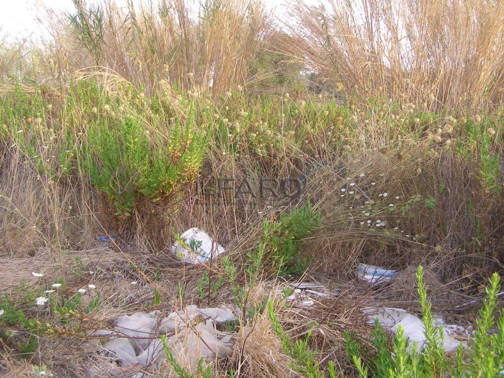 Movimento 5 Stelle #Ladispoli ‘Terreni comunali lasciati nel degrado, si intervenga subito!’