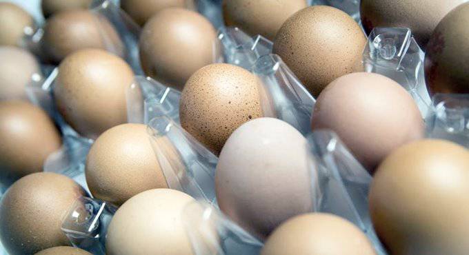 Uova contaminate in #Italia, i Nas ne sequestrano oltre 92.000, ecco i rischi