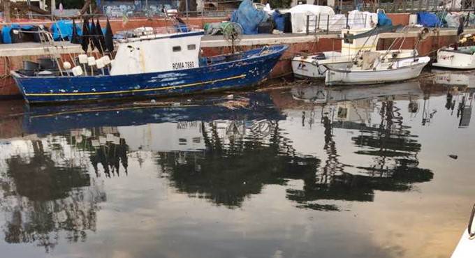 #maltempo, la lunga onda nera sul Tevere, migliaia di pesci morti