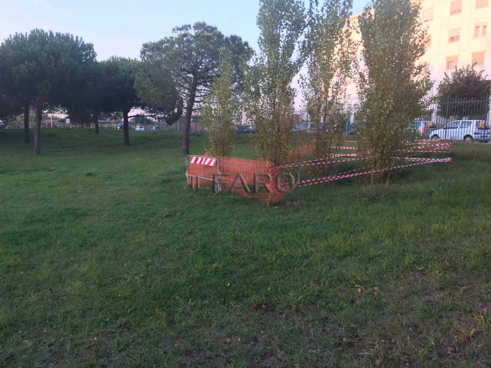 #Ostia Protagonista ‘Una pulizia non può considerarsi una lotta al degrado sul Parco Pallotta’