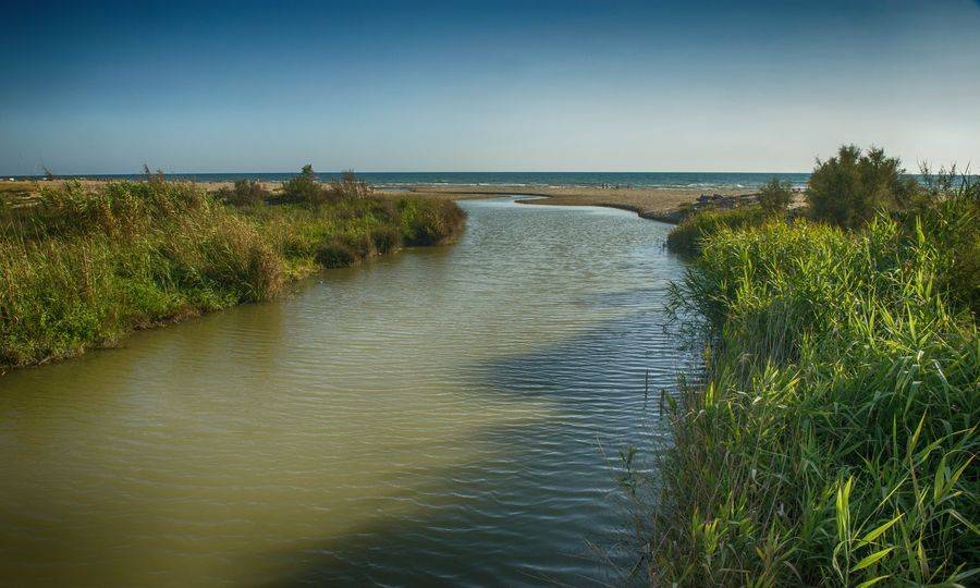 #Ostia, Ferrara ‘Istituito un nuovo Ufficio di coordinamento della Riserva naturale del Litorale romano’