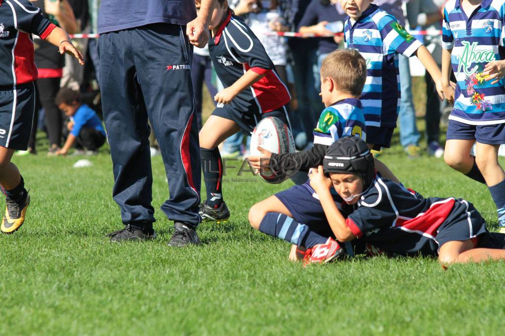 Riprendono le attività delle giovanili del #Fiumicino Rugby
