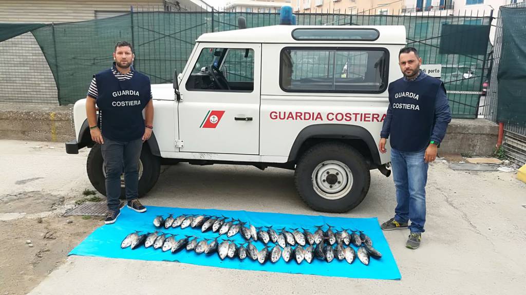 #Gaeta, tonno rosso, ottomila euro di multa e sequestro del pescato sottomisura