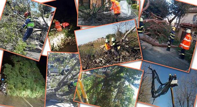 Maltempo, mareggiata e vento forte, alberi caduti a Fiumicino e Ostia