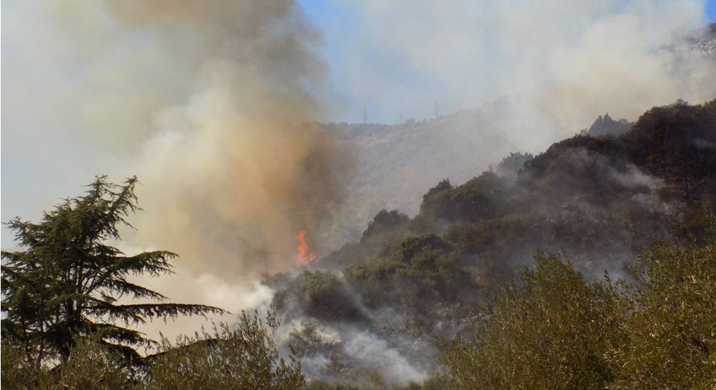 Incendio bosco 5 ettari San Silviano