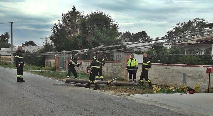 Tromba d’aria sulla Migliara 47, intervento immediato, scongiurati pericoli per la cittadinanza