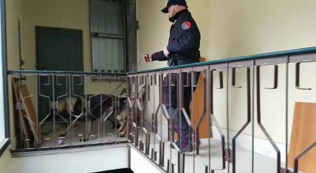 Ostia, proseguono i controlli dei Carabinieri, nuovi arresti per detenzione e spaccio di droga