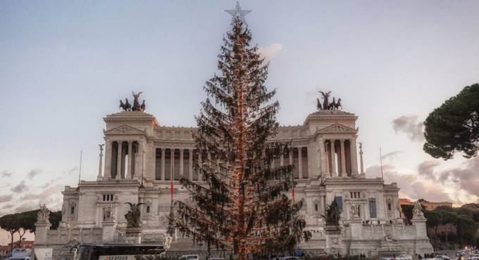 Countdown per l’albero di Natale a Roma, Raggi: “Spelacchio is back”