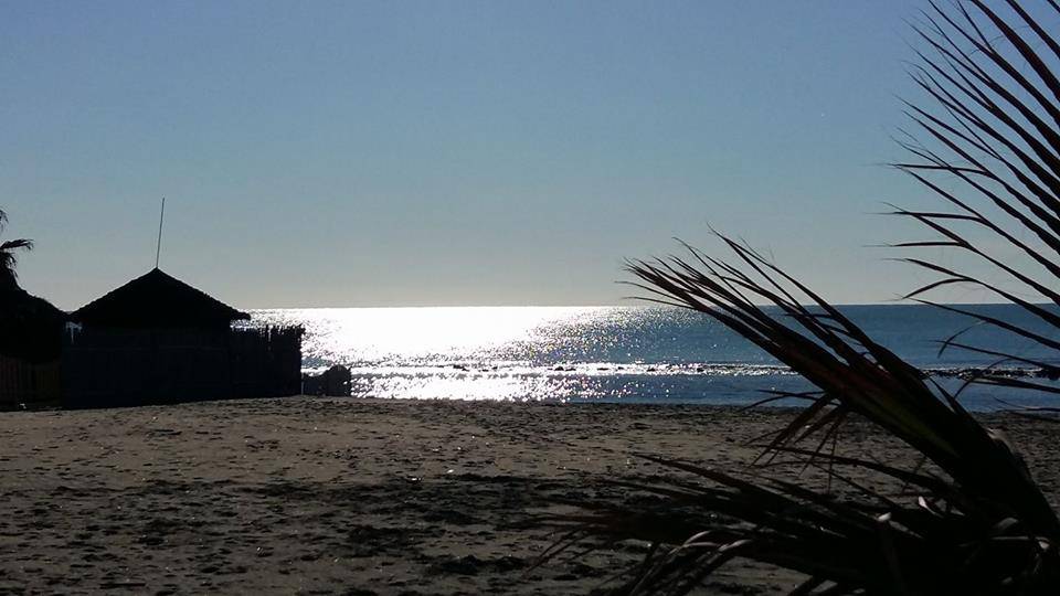 Il M5S: “Falconi ha dimenticato le spiagge libere di Ostia”