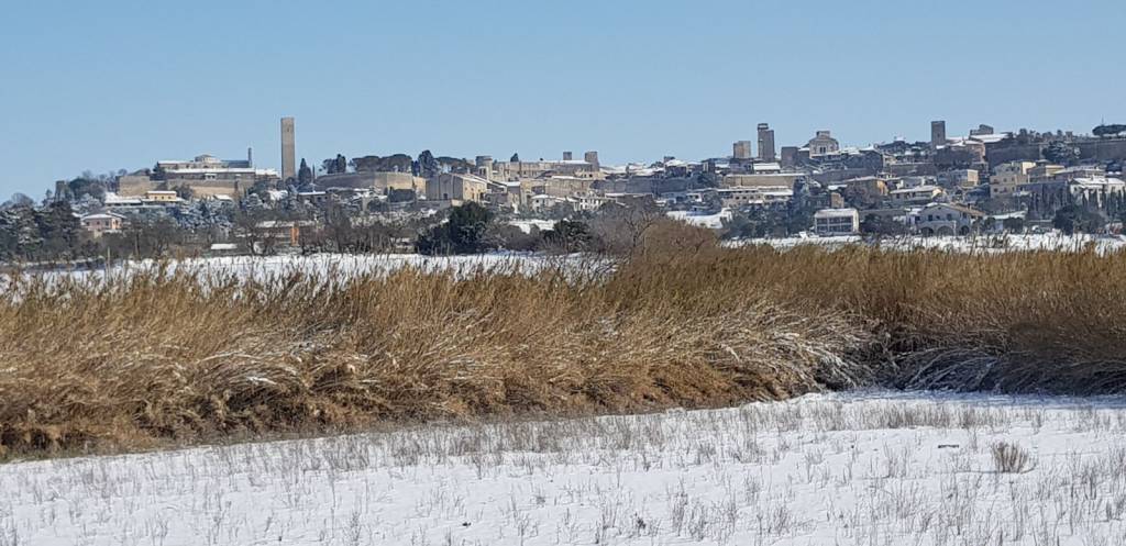 Tarquinia sotto la neve, scatta il piano di emergenza comunale