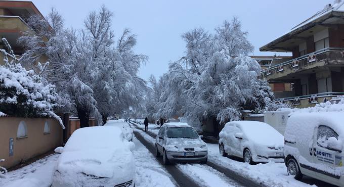 VOTA IL SONDAGGIO: EMERGENZA NEVE, COME E’ STATA GESTITA?