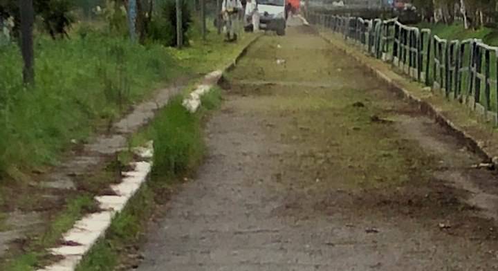 Ostia, pista ciclabile a Saline, Di Staso ‘finalmente la bonifica e sfalcio del verde’