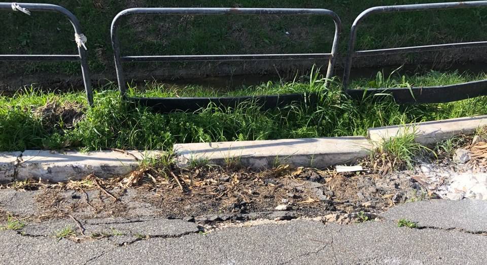 Ostia, pista ciclabile a Saline, Di Staso ‘finalmente la bonifica e sfalcio del verde’