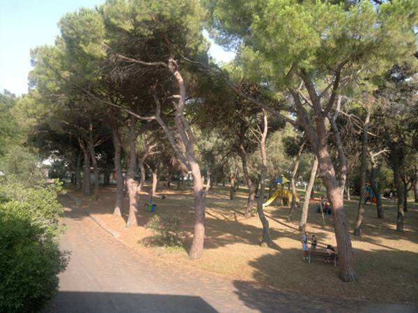 ‘Ecoimparo al Parco’, il 5 febbraio ‘appuntamento’ con l’ambiente al De Curtis di Formia