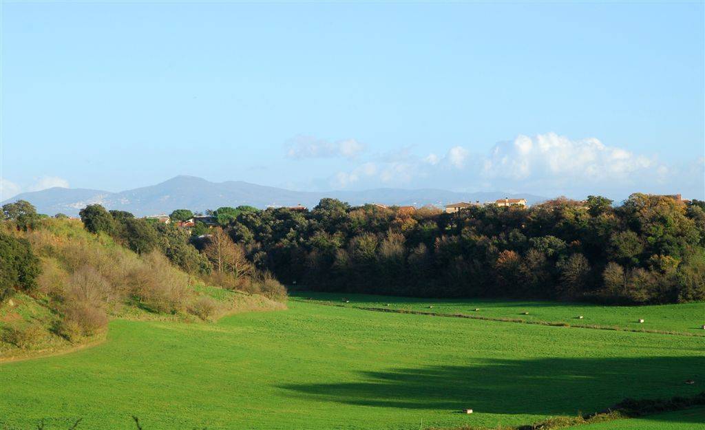 Roma, i sentieri naturali del litorale protagonisti di “Natura è cultura”: cos’è e come partecipare