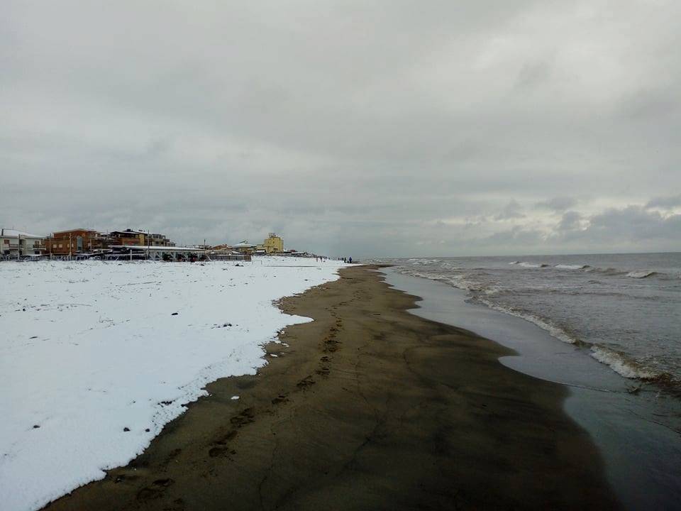 Ardea si sveglia sotto la neve