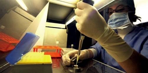Trapianto di organi, negli Usa creato un embrione ibrido di pecora e uomo