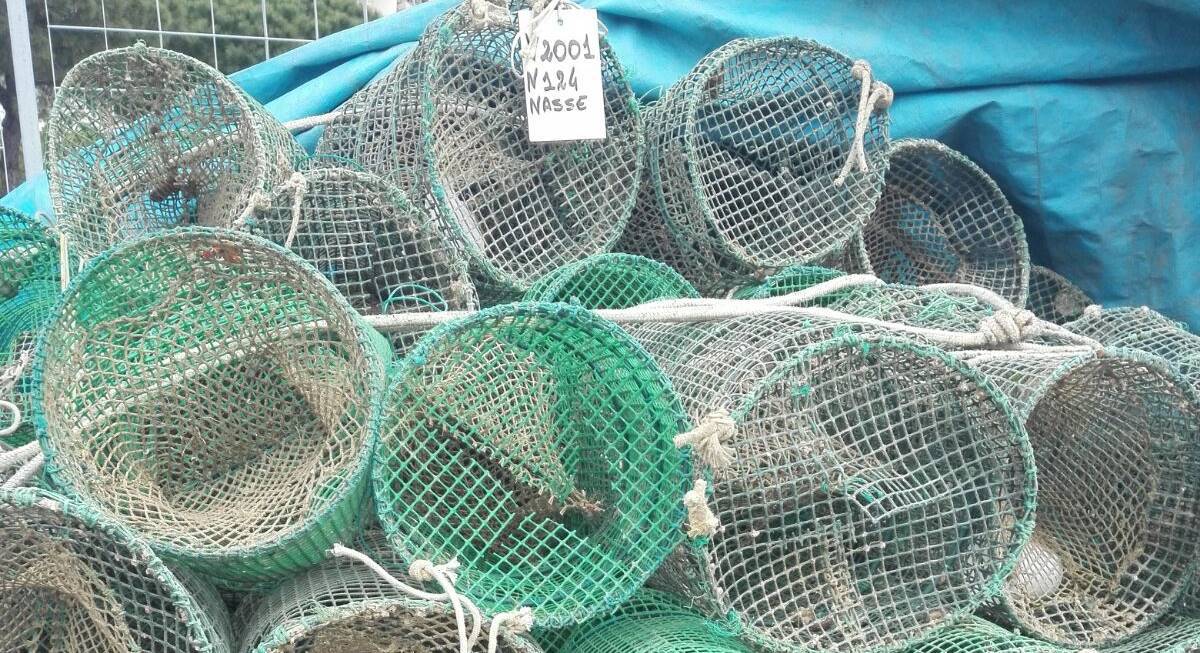 Civitavecchia, pesca di frodo nel parco ‘riviera di Ulisse’, rigettati in mare 25kg di cefalopodi