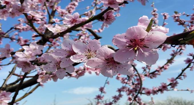 Meteo giovedì, la primavera inizia con tempo instabile