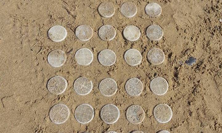 Terracina, grazie al Circolo di Legambiente rinvenuti 28 dischetti sulla spiaggia di Levante