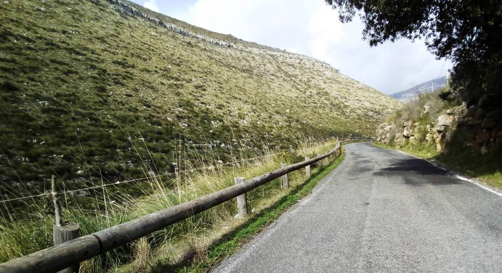 Terracina, animali al pascolo su terreni bruciati, le segnalazioni del Wwf litorale laziale