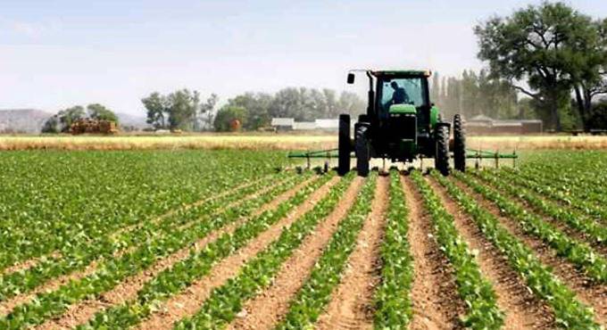 Fiumicino: il progetto “A tutto campo” in gara nel bando “Coltiviamo Agricoltura Sociale 2019”