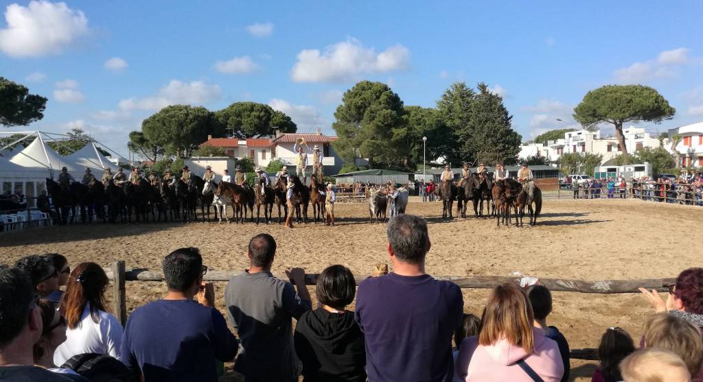 La fiera ‘Maremma d’amare’ torna a Montalto Marina, ecco il programma