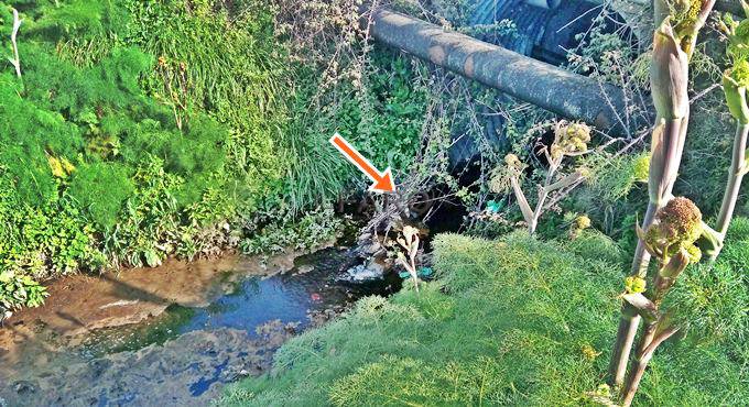 Fiumicino, sversamento anomalo nel canale di via della Scafa, la segnalazione di Russo D’Auria